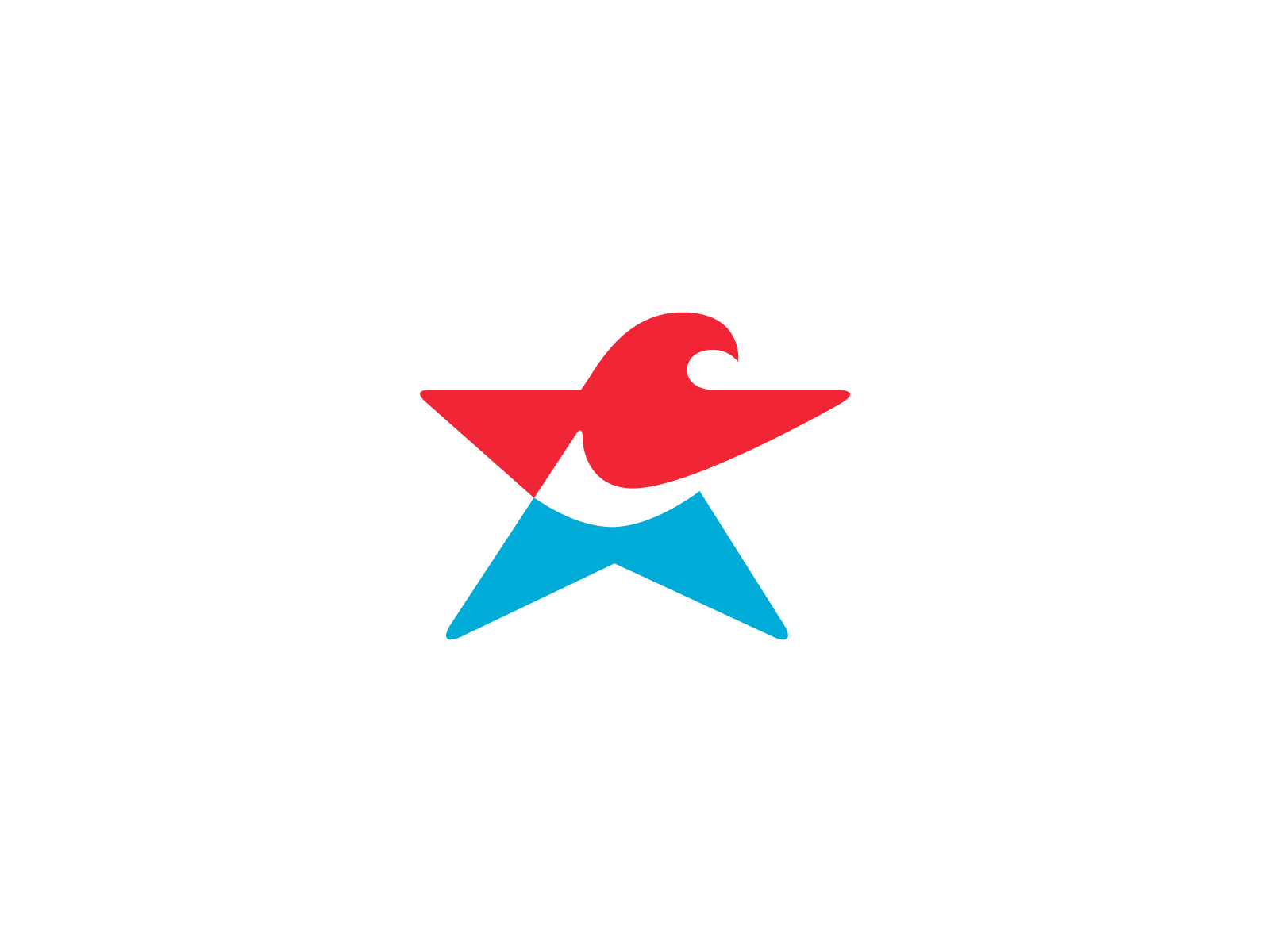 eagle star logo usa america freedom mascot mihai dolganiuc design