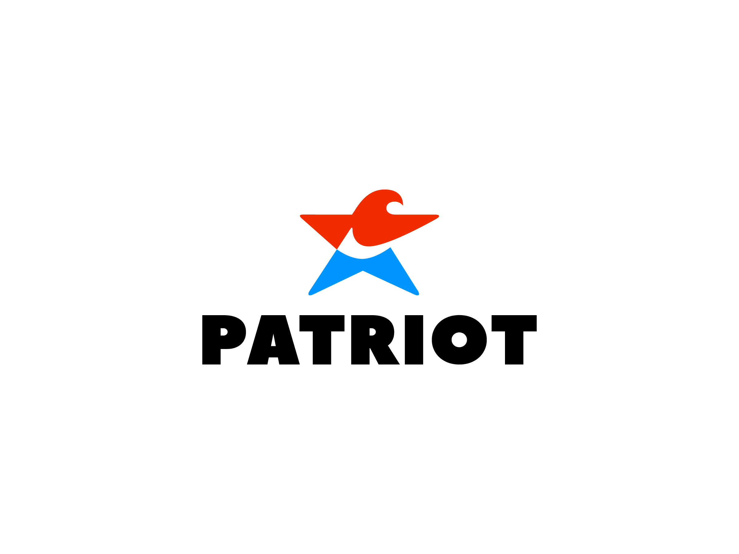 eagle mascot patriot usa negative space marks logo design custom type mihai dolganiuc